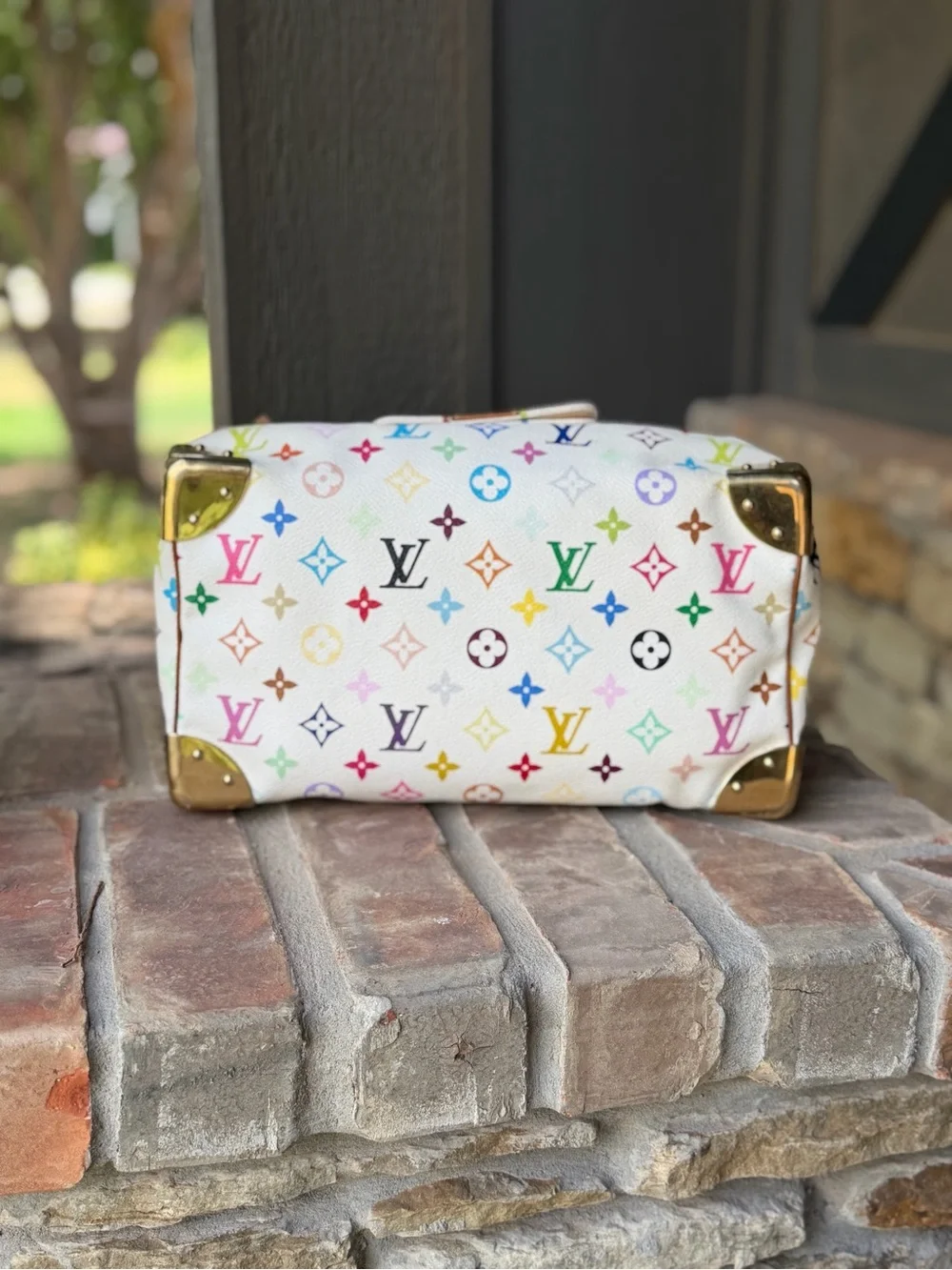 Authentic Louis Vuitton Speedy 30 Multicolor 💚